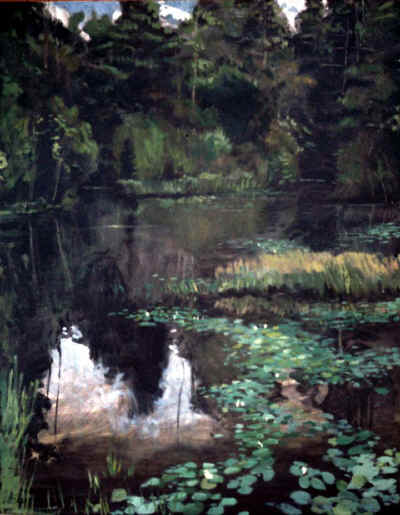 pine_barrerns_89.jpg (101577 bytes)